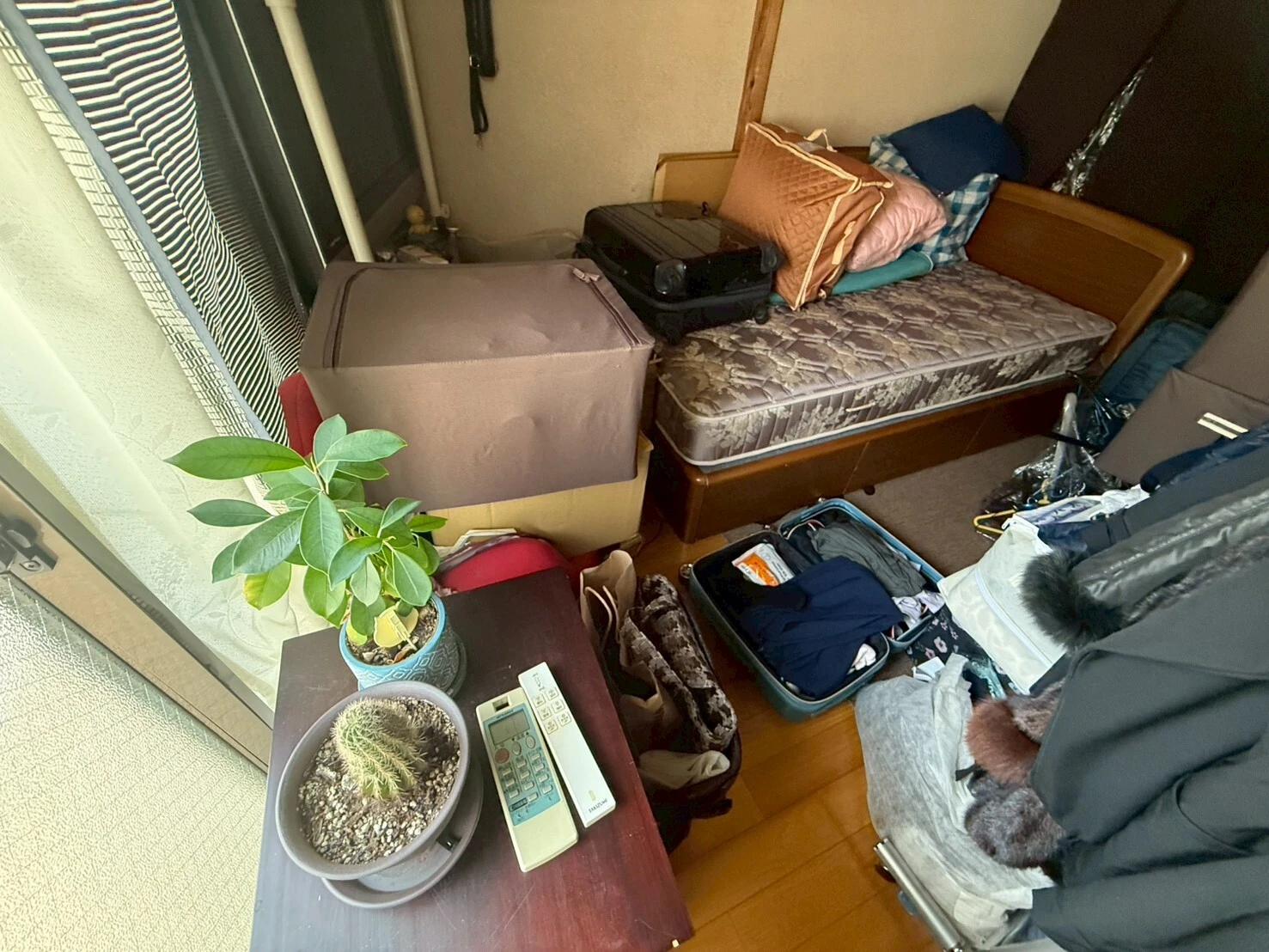 明確な料金体系