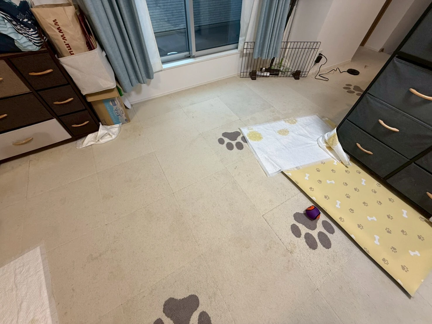 5. ペットの遺品整理に特化